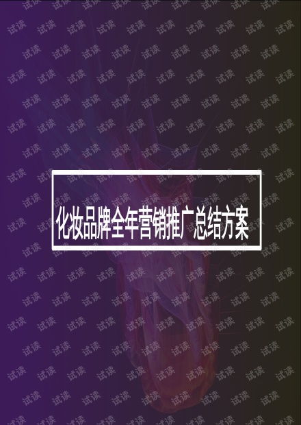 化妝品全年內(nèi)容營(yíng)銷(xiāo)與網(wǎng)絡(luò)推廣整合方案